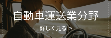 特定技能(自動車運送業分野)