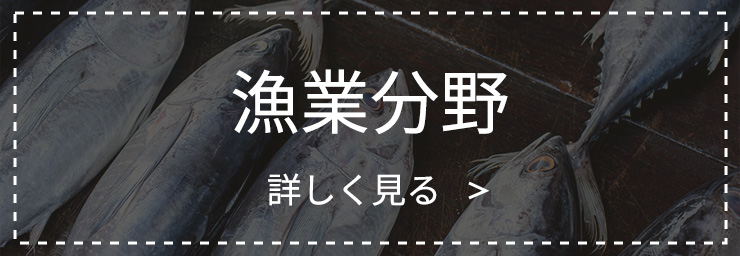 特定技能（漁業分野）