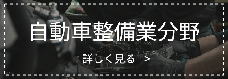 特定技能（自動車整備業分野）